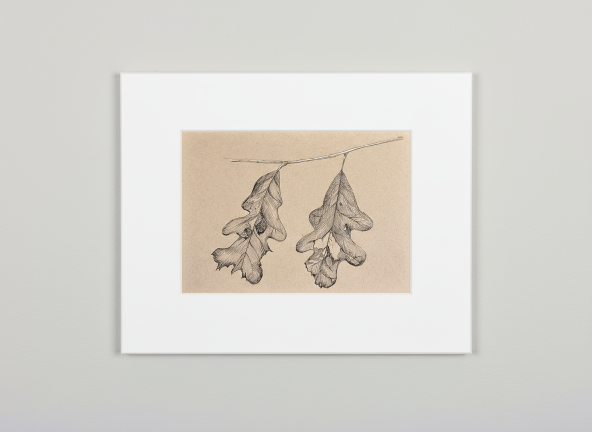 Matted Original Artwork: Pen & Ink Leaves